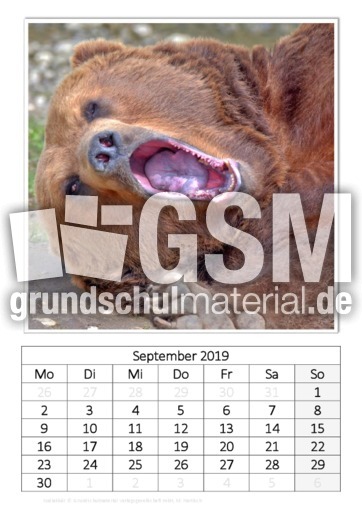 September_Kodiakbär.pdf